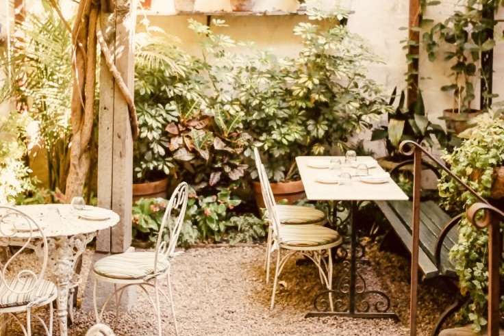 Outdoor garden area